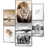 BLCKART Infinity Poster Set Afrika Stilvolle Doppelseitige Poster Safari Löwe Elefant Zebra Wohnzimmer Bilder Deko | 2X A3 | 4X A4 (Afrika, Ohne Rahmen)