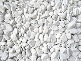 Doubleyou Geovlies & Baustoffe 1 kg Carrara Kies - Marmorkies weiß - Körnung 18-25