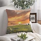 Kissenbezüge Fall Gemütliche Chianti Vegetation Roma Weinberg Landschaft Toskana Italien Natur Szenische Sehenswürdigkeiten Parks Outdoor Kissen Kissenbezug für Couch Sofa Home Decoration ， 17 'x17'