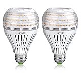 SANSI E27 LED Lampe, 22W ersetzt 200W Glühbirne, E27 Warmweiß Lampe, 3000 Kelvin 3000 Lumen, nicht dimmbar Birne, Superhell LED Leuchtmittel für Küche, Werkstatt, Garage, Hof, 2er-Pack