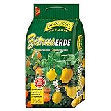 Zitruserde für Zitronen- und Zitruspflanzen von Bodengold Premium 5 L