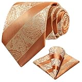 Ohlimuc Krawatten Set Herren (8.5cm), Paisley Krawatte Einstecktuch Set, Klassisch Elegant Hochzeit Krawatte Taschentuch für Formelle Kleidung, Feier, Partys (Geschenkbox)