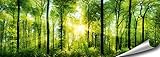 ARTBAY Wald Poster XXL, Panorama Kunstdruck - 118,8 x 42 cm, von Sonne durchfluteter, Zauberhafter, heimischer Wald | Wandposter, Fotoposter, Wandgestaltung | Natur Poster | Premium Q