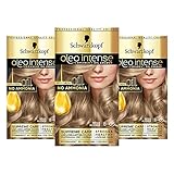 Schwarzkopf Oleo Intense Blond Haarfarbe, 3er Pack Permanente Ölfarbe, Ohne Ammoniak, Deckt Grau Beige Blond 8-05