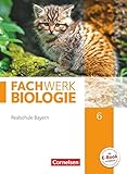 Fachwerk Biologie - Realschule Bayern - 6. Jahrgangsstufe: Schülerb
