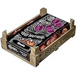 Tulpenzwiebeln - 80 Tulpen in 4er Packungen'RONALDO' von BOLT Amsterdam - Doppelblühend - Beste Qualität & frisch aus der eigenen Gärtnerei - 100% Blühgarantie (4 packs)