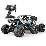 DFERGX 1:8 Super Large Amphibious RC Offroad Vehicle 45° Leistungsstarker Hill Climber 6WD Super Shock Absorber Rally Car High Speed ​​Drift Racing Geschenke Für Erwachsene Und Jung