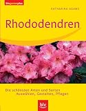 Rhododendren: Die schönsten Arten und Sorten. Auswählen, Gestalten, Pfleg