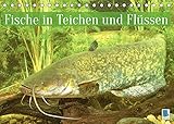 Fische in Teichen und Flüssen (Tischkalender 2022 DIN A5 quer) [Calendar] CALVENDO