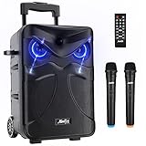 PA Anlage Moukey Karaoke Lautsprecher, 100W 5.0 Bluetooth Stereo System wiederaufladbare mit DJ Lights, 2 VHF Mikrofon, Handgriff，MP3/USB/TF/FM-Radio für Party im Freien, Rede, Hochzeit 10'', MTs10-3