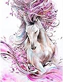 ParNarZar DIY 5D Diamant Malerei Vollbohrer Kit, Rosa Pferd 35 x 45 cm, Diamond Painting Bilder Set Diamant Malen nach Zahlen Kreuzstich Stickerei Strass Mosaik G