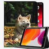 Fall für iPad Air 2 9.7' Fall-Abdeckung, Akita Inu Haustier Hund Case Slim Shell-Abdeckung für ipad Air2 9,7 Z