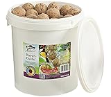 Dehner Natura Wildvogelfutter, große Beeren-Knödel, ohne Netz, 100 Stück je 100 Gramm (10 kg)