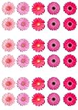 30 rosa Gerbera Blume essbare Wafer Papier Kuchen Topper Dek