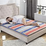 J-Kissen 3D Bambuskohle Breath Thick Anti-Rutsch-Boden Matratze Auflage-Bett Topper Trampolin Tatami-Matte Schlafen Nap Kissen Schlaf (Color : C, Size : 150x200cm(59x79inch))