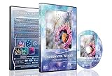 Ozean DVD – Unterwasser Welt – Unvergesslische Riff Szenen der Natur und Meeresbewohner in der Unterwasserw