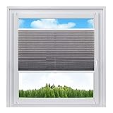 WOLTU #391 Plissee Klemmfix ohne Bohren für Fenster & Tür Crushed Optik, Jalousie Faltrollo Fensterrollo Blickdicht verdunkelt, easyfix & verspannt, Sichtschutz Sonnenschutz, 120x130 cm, G