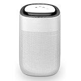 SZHWLKJ 1000ml Luftentfeuchter w/Luftreinigungsfunktion, True HEPA-Filter, Automatische Abschaltung, Touch Control Adjustable Air Speed ​​Ultra-Quiet Allergien Eliminator, Ideal for Haus, S