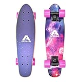 Apollo Fancy Board, Vintage Mini Cruiser, Komplettboard, 22.5inch (57,15 cm), Mini-Board mit Holz oder Kunststoff Deck