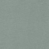 rasch Tapete 449846 aus der Kollektion Florentine II – Einfarbige Vliestapete in Graublau – 10,05m x 53cm (L x B)