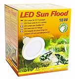 Lucky Reptile LED Sun FLOOD 18W, leistungsstarke LED Lampe mit E27 Fassung