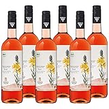 Amolterer Rosé Vulkanfelsen QbA trocken 2020 - Bio Rosé-Wein trocken, fruchtig frisch im Geschmack - Badischer Bio-Wein, Anbaugebiet Kaiserstuhl (1 x 0,75 l)