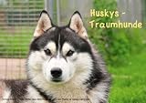 Huskys - Traumhunde (Posterbuch DIN A4 quer) [Spiral-bound] Ebardt, M