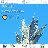 Kleiner Lorbeerb