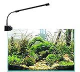 LED Aquarium Lighting Lamp Clip, Aquarium Light with White and Blue Light, Aquarium Licht Wasserpflanzen Beleuchtung,für Wasserpflanzen und Süß/Meerw