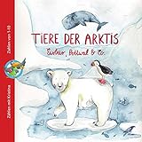 Tiere der Arktis - Eisbär, Pottwal & Co.: ZÄHLEN MIT KRISTIN