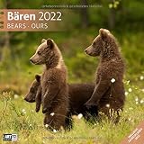 Bären 2022, Wandkalender / Broschürenkalender im Hochformat (aufgeklappt 30x60 cm) - Geschenk-Kalender mit Monatskalendarium zum Eintragen: Bears / O