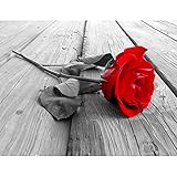 Runa Art Fototapete Rosa Blumen Modern Vlies Wohnzimmer Schlafzimmer Flur - made in Germany - Schwarz Rot 9060010