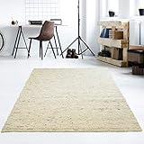 Taracarpet Moderner Handweb Teppich Alpina handgewebt aus Schurwolle für Wohnzimmer, Esszimmer, Schlafzimmer und die Küche geeignet (090 x 160 cm, 60 Beige meliert)