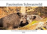 Faszination Schwarzwild (Wandkalender 2022 DIN A3 quer)