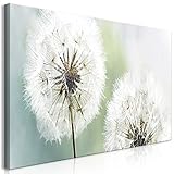 murando Wandbild Mega XXXL Pusteblume 270x135 cm Einteiliger XXL-Format Kunstdruck zur Selbstmontage Leinwandbilder Moderne Bilder DIY Wanddekoration Wohnung Deko Blumen Natur b-B-0223-ak-g