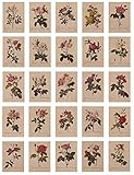 24 Blatt Postkarten, Vintage Postkarten, mit schöner Blumensprache gedruckt auf Kraftpapier, Liebe, Freundschaft, Leben, Motivation Grußkarten - R