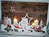 Geschenkestadl Led Wandbild Katze Weihnachten Kerze 30cm x 40