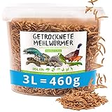 Mehlwürmer getrocknet, 3 Liter (460g) Futtermittel im Eimer, der proteinreiche Snack für Wildvögel, Fische, Reptilien, Schildkröten und Ig