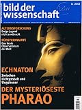 Bild der Wissenschaft 2002 Heft 11 Der mysteriö