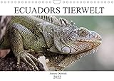 Ecuadors Tierwelt (Wandkalender 2022 DIN A4 quer)