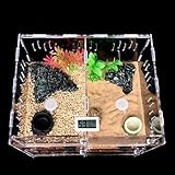 Vinnykud Terrarium Transportbox,Reptil Fütterungsbox aus Acryl, Tragbarer Reptilienzuchtbox Transparent Reptil Zuchtfall für Spinnenechsen, Eidechse, Gehörnter Frosch(30.5×24×14.2cm)