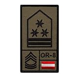 Café Viereck ® Österreich Offizierstellvertreter - Bundesheer Rank Patch mit Dienstgrad Gestickt mit Klett – 9,8 cm x 5,6