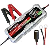 Dino KRAFTPAKET 136302 10A-12V/24V Batterieladegerät mit Dauerspannungsausgang IP20 für KFZ Auto LKW NKW Motorrard Quad ATV B