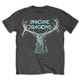 Imagine Dragons Herren T-Shirt Grau grau Gr. XXL, g