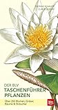 Der BLV Taschenführer Pflanzen: Über 350 Blumen, Gräser, Bäume & S