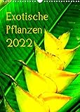 Exotische Pflanzen (Wandkalender 2022 DIN A3 hoch) [Calendar] Brun, Annina [Calendar] Brun, Annina [Calendar] Brun,