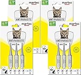 martec PET CARE 12x1ml Pipetten Spot on fü