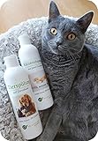 Pflegeset für Katzen | Shampoo & Pflegespülung | sanfte Fellpflege ohne Chemie & Seife | gegen Juckreiz | hypoallergen | mit original marokkanischer Lavaerde | 2x 250 ml | für Kurz- und Lang