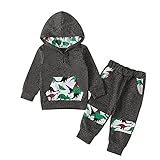 Kleinkind Kleinkind Baby Jungen Winter Herbst Kleidung Dinosaurier Hoodie Sweatshirt Langarm T-Shirt Tops Hosen 2-3 Jahre 110 Grü