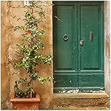 Wallario Glasbild Grüne alte Holz-Tür in Toskana mit Alter Steinwand und Steintreppe - 50 x 50 cm in Premium-Qualität: Brillante Farben, freischwebende Optik